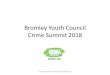 Bromley Youth Council Secondary Campaign · 2020. 4. 1. · • Generally young people who live in Bromley or go to school in Bromley feel there is a gangs problem within the borough