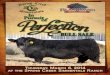 Pursuit Perfection - BlackSand Pursuit of Perfection Bull Sale 2014 Welcome to our 9th annual Bull Sale