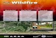 Mitigation March - Wildfire - FEMA.gov · 2019. 3. 25. · Park, Idaho has beautiful landscapes that pose a significant wildfire threat to homes and businesses. Because of the wildfire