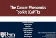 The Cancer Phenomics Toolkit (CaPTk) · LIBRA: Adaptive Histogram-based Clustering The breast region gray-level intensity histogram (z-scored) and FCM-cluster centers Estimation of