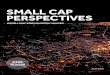 SMALL CA PERSPECTIVES - Institutional Investor · 2016. 8. 26. · That the market was able to process the additional volume ... FTSE Russell Small Cap Perspectives: ... hike coming