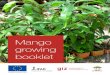 Mango growing - Regreening Africa · 2020. 4. 3. · 4 Mango growing booklet Planting a grafted mango seedling Mango trees (Mangifera indica L.) are grown in many African countries.Mangoes