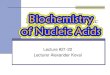 Lecture #21-22 Lecturer Alexander Koval...2018/09/21  · Lecture # 20-22. Biochemistry of Nucleic Acids Koval (C), 2011 3 Introduction to Nucleic Acids As a class, the nucleotides