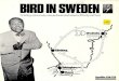 Bird In Sweden - Fred Parcellsfredparcells.com/charlieparker/images/BirdInSweden.pdf · that time tape recorders were quite a novelty and an expensive luxury. However at least one