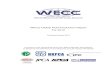 WECC Global PCB Production Report For 2012jpca.jp/.../uploads/members/market/wecc/wecc12.pdfThe member organizations of WECC formed a working group in 2005 to pool their statistical