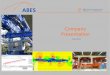 ABES 2015 05 · segmental bridges. Geometry control during segment production in the casting yard. Geometry control during bridge assembly on the ... • Input of casting yard layout