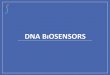 DNA BıOSENSORSilkerpolatoglu.cbu.edu.tr/docs/lecture note4.pdfPeptide nucleic acids (PNA) •modified type of nucleic acids used in DNA biosensors •synthesized by using a pseudopeptide,