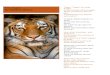 Weebly · Web viewThe Tyger By William Blake Tyger! Tyger! burning brightIn the forests of the night,What immortal hand or eyeCould frame thy fearful symmetry?In what distant deeps