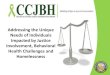 CCBJH - Addressing the Unique Needs of Individuals ... · 7/17/2019  · with multiple interactions with jails vs significant time served in ... House Homeless Persons. ... CCBJH