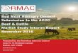 Red Meat Advisory Council Submission to the ACCC Beef ......Beef & Cattle Market Study Interim Report November 2016 Prepared by: the Red Meat Advisory Council Level 3, 14 Brisbane