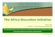 The Africa Biocarbon Initiative - pubs.iied.org.pubs.iied.org/pdfs/G02630.pdf– Climate Change considerations must be integrated into policies, sectoral planning and implementation