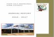 ANNUAL REPORT 2016 - 2017 · 2018. 3. 12. · 2016 to 30 June 2017. The Annual Report is an important document by which Council is transparently accountable for its financial and