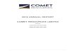 ANNUAL FINANCIAL REPORT...COMET RESOURCES LTD and its Controlled Entities CHAIRMAN’S REPORT 2 29th September 2019 Dear Shareholders, I am pleased to present the Comet Resources …