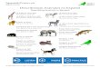 Describing Animals in Spanish...Describing Animals in Spanish Author SpanishTown.ca Subject Learn some sample sentences to describe various animals. Free and fully illustrated Spanish