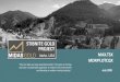 STIBNITE GOLD PROJECT · 2020. 7. 8. · * Convertible Notes issued at 0.05% interest; 140.9 million convertible at $0.3541 (March 2016 financing); 102.3 million convertible at $0.4655