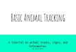 Basic Animal Trackingfaculty.wiu.edu/coehs/rpta/camp_rocky/Animal Tracks Tutorial.pdfHowdy, everyone! My name is Jenna Shafer and I’m a Recreation, Parks, Tourism and Administration