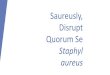 Saureusly, Disrupt Quorum agatsonis/Docs/STEMPoster.pdfآ  2018. 5. 24.آ  Quorum Sensing Quorum sensing
