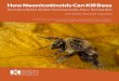 How Neonicotinoids Can Kill Beesxerces.org/sites/default/files/2018-05/16-022_01...Bumble bees and solitary bees respond differently to neonicotinoids than do honey bees. Current regulatory