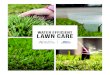 water efficient lawn care · 2020. 1. 14. · lawn care is a key component to a healthy lawn. Basic lawn maintenance practices, in conjunction with the selection of the right turf