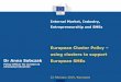 European Cluster Policy using clusters to support Dr Anna ... · INPUT •cross-sectoral & cross-regional innovation •Involvement of cluster organisations as facilitators •Direct