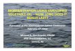 BIOREMEDIATION USING EMULSIFIED VEGETABLE OIL ......Cleaned by Nature Presented at the 2018 Midwest AWMA Conference February 27, 2018 Michael R. Sieczkowski, CHMM JRW Bioremediation,
