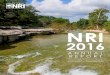 ANNUAL REPORT - Home | Texas A&M NRI...NRI BY THE NUMBERS NRI.TAMU.EDU $7,015,923 28 89 5,387 29 2,338 in external grants students supported presentations to people in attendance Conservation