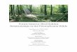 Forest Interior Bird Habitat Relationships in the Pennsylvania ......Forest Interior Bird Habitat Relationships in the Pennsylvania Wilds Final Report for WRCP-14507 February 28, 2017
