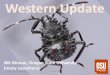 Western Update - StopBMSB.org · Updated Nov 2015. Commercial Damage. Milton-Freewater Apples 3,000 acres 45% damage to grannies-Clive Kaiser, OSU Extension WSU – Easy to find BMSB