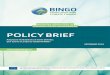 BINGO | A better future under climate change - BRINGING ......En el marc del projecte H2020-BINGO (2015-2019), liderat per LNEC en un consorci de 20 socis de 6 països europeus, s’han