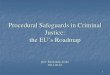 Procedural Safeguards in Criminal Justice: the EU’s Roadmap...Procedural Safeguards in Criminal Justice: the EU’s Roadmap prof. Raimundas Jurka 2013-05-10 2 Contents of Presentation