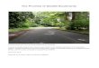 The Promise of Seattle Boulevards · 2016. 12. 19. · The Promise of Seattle Boulevards 2016 is an attempt to look at the best use of current ... collaboration, and to build the