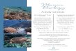 * Join our Resident Marine Biologist for an Afternoon ...…Biology Presentation Join our Marine Biologist at Beach Club for an informative presentation on the natural history of the