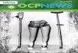 Newsletter of the Board for Occupational Therapy , Medical … · 2019. 10. 3. · 2018 OCP NEWS 5 HPCSA Online Registration Renewal System Carmenita Dampies The Health Professions