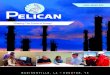 GAS HANDLING Pelican Value Proposition Core Valuespelicanenergy.com/newsite/wp-content/uploads/2017/11/Gas-Handling-PDF.pdfPelican Energy Consultants, LLC is a privately held Engineering
