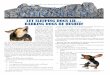 December 2017 Volume 11 Issue 12 LET SLEEPING DOGS LIE…… · 2020. 3. 25. · of advice on the internet to help with reshaping your dog’s nuisance behavior via proper training