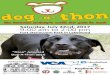 the humane society’s walk for pets in need Saturday, July ... · “Best Trick,” and/or “Best Kisser” contests. Watch herding dogs and other demonstrations, and grab lunch