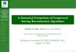 Rice University | Rice University - A Numerical Comparison of … · 2007. 8. 20. · Rice University McMaster University, ICCOPT II-MOPTA 2007 August 13, 2007. A Numerical Comparison