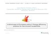 A blind spot of European policy? Energy efficiency policies for ......Industry, Research and Energy Committee (ITRE) of the EU-Parliament on Energy Efficiency Policies for Low-Income