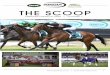 THE SCOOP - Pukekohe Park · 2020. 2. 16. · 9th: Noah Coutts 50pts Right: 3rd place combination Anna Nalder and Icebreaker II enjoying their delivery of Equifibre Lucerne Pro. SERIES