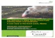 Fire Behaviour in Black Spruce Forest Fuels following ... · The mulch thinning treatment modified crown fire to high-intensity surface fire. With a greater volume of crown fuels