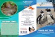 PROGRAMS & PARTIES HOURS FEEDING TIMES · 2020. 5. 11. · JENKINSON’S AQUARIUM 732-899-1212 @JENKSAQUARIUM For GPS Directions: Jenkinson’s Aquarium 300 Ocean Avenue Point Pleasant