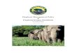 Elephant Management Policy Elephant Keeper Handbook€¦ · management of each elephant in free contact utilizing all of the verbal cues and cue points established by the BPZ Elephant