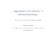 Importance of colours in teledermatology · Importance of colours in teledermatology Image quality depends on: – Conditions at the site where the image is being acquired – Conditions