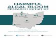 HARMFUL ALGAL BLOOM...Harmful Algal Bloom Research Initiative 2015 Annual Report 3 Introduction After the Toledo water crisis in August 2014, the Ohio Department of Higher Education