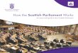 How the Scottish Parliament Works...MSP works for people in a constituency, or local area. The other 7 MSPs work for people in the region, or bigger area. The MSPs work together in