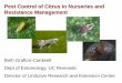 Pest Control of Citrus in Nurseries and Resistance Management · 2012. 6. 19. · Pest Quarantine Treatments Issues: •Quarantine pests are best controlled with long-lasting broad