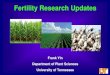 Fertility Research Updates - UT Crops...Sulfur Deficiency vs. N Deficiency S deficiency: begins in the young, upper leaves first. A severe sulfur deficiency causes the entire plant