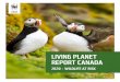 LIVING PLANET REPORT CANADA · WWF-Canada is a federally registered charity (No. 11930 4954 RR0001), and an official national organization of World Wildlife Fund for Nature, headquartered