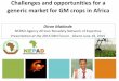 Challenges and opportunities for a generic market for GM crops in …ipbo.vib-ugent.be/wp-content/uploads/2015/06/D-Makinde... · 2015. 6. 29. · Challenges and opportunities for