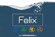 FELIX INDUSTRIES LIMITED...RO Plants R.O. Spares & Components Water Treatment Systems (WTP) Sewage Treatment Technologies (STP) STP’s, ETP’s , Package Plant Recycling –ZLD (zero